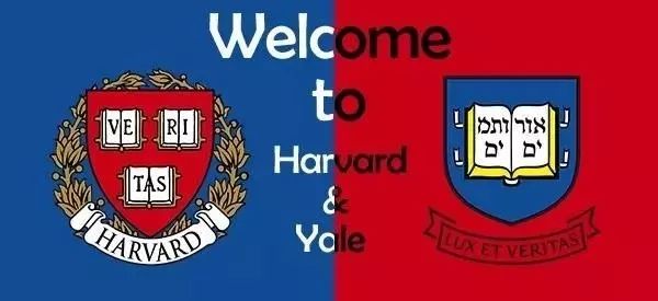  意甲联盟调查多支球队财务违规问题  